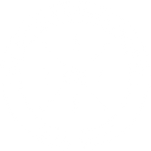 Artisan Cheese Factory