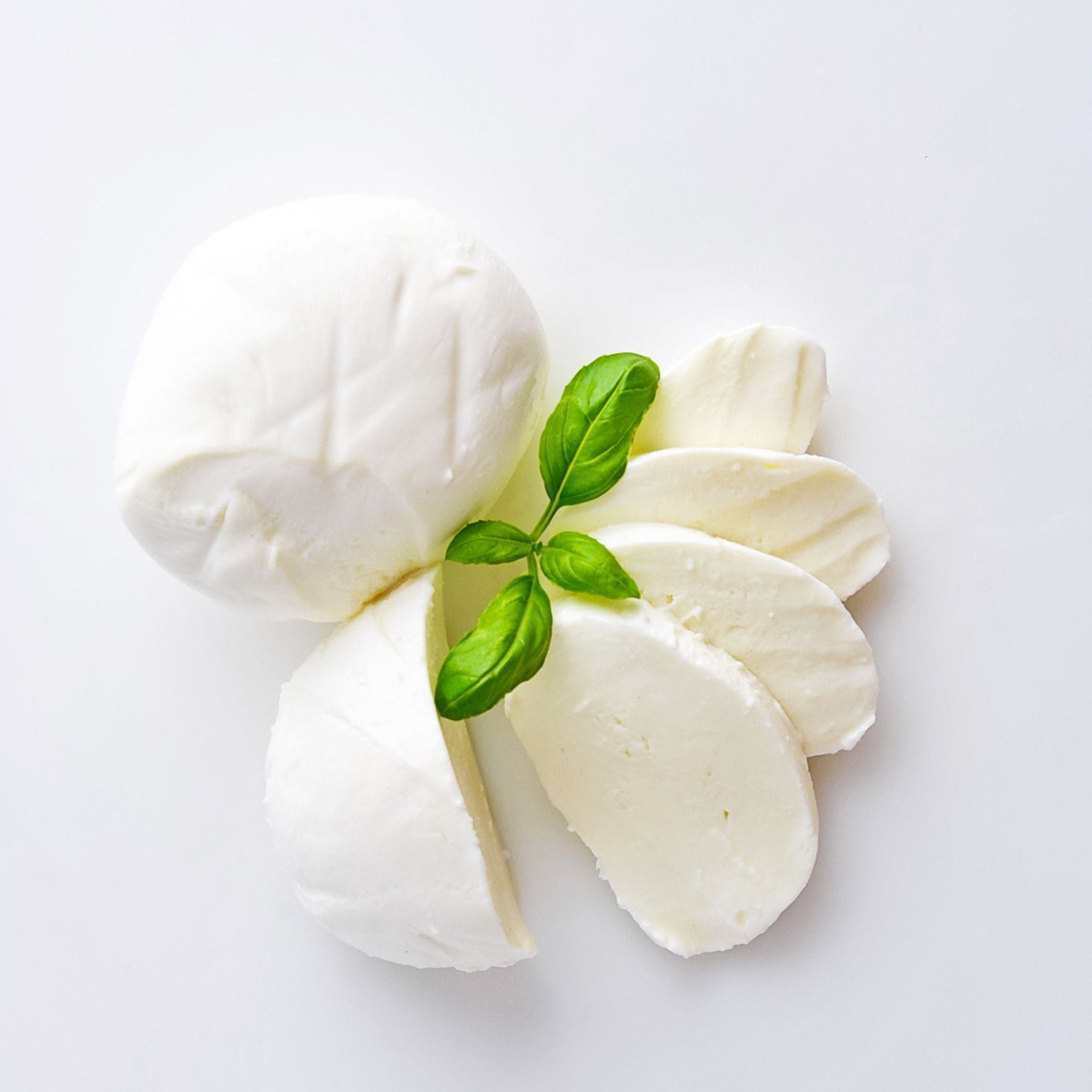 Mozzarella - Artisan Cheese Factory 