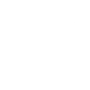 Artisan Cheese Factory 
