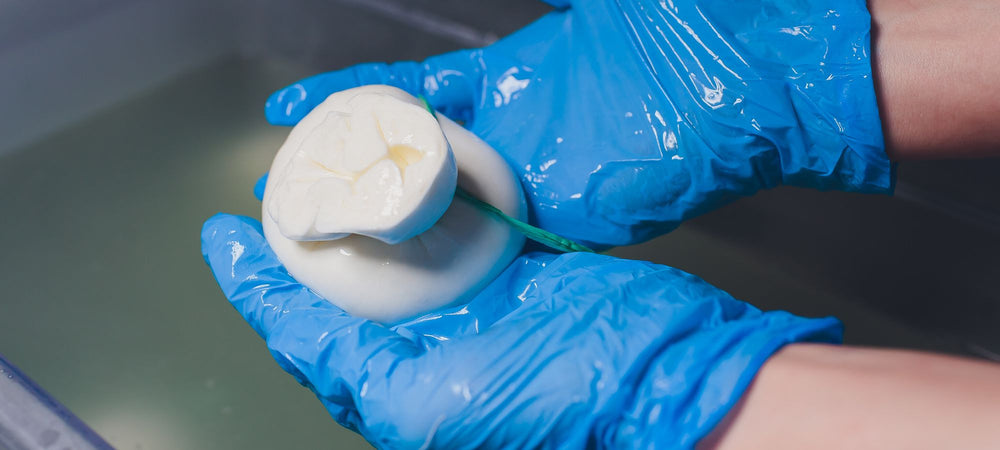 Artisan Cheese Factory 